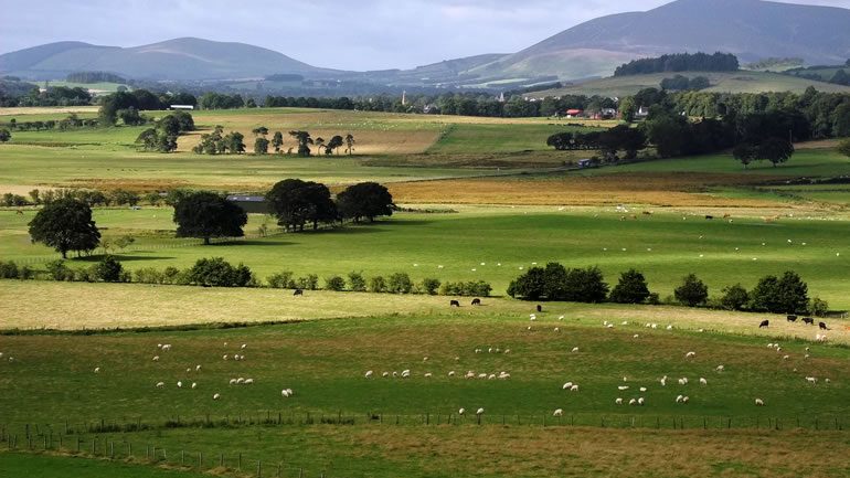 Biggar View - Location of The New Farmhouse